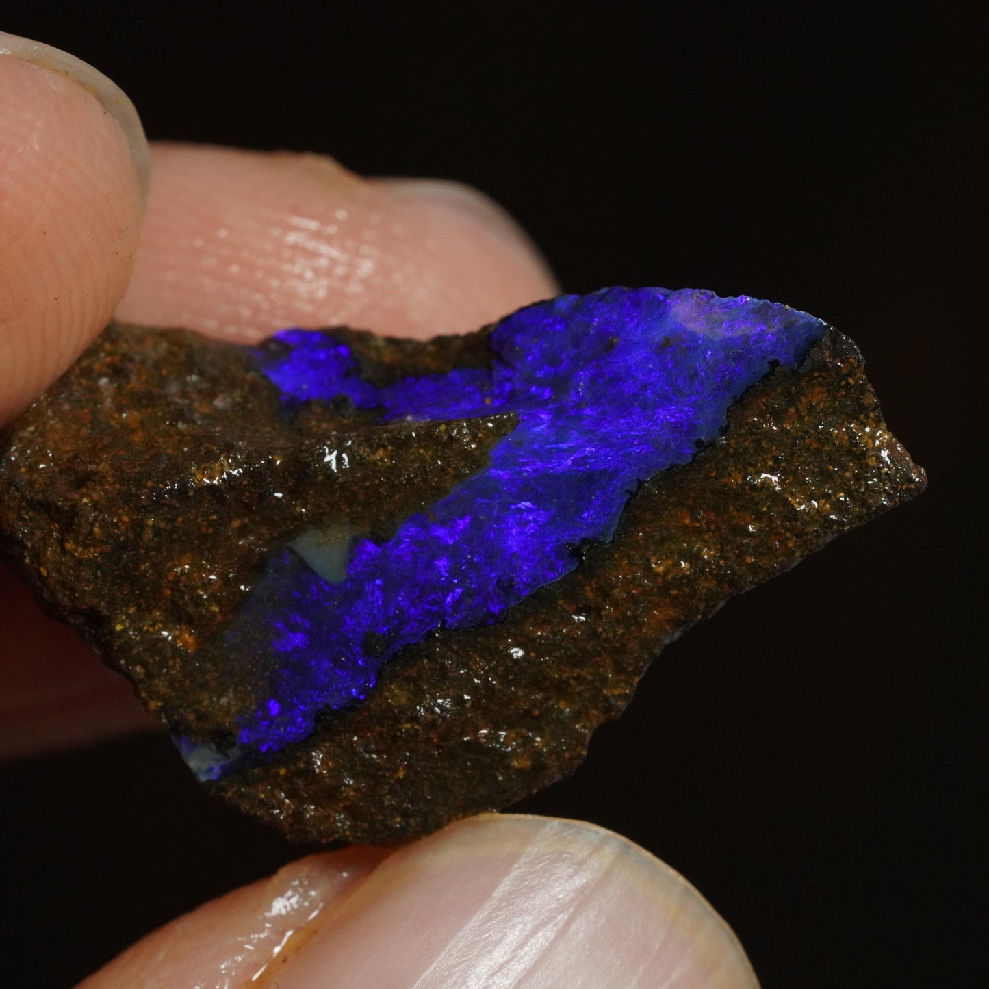 Rough Boulder Opal