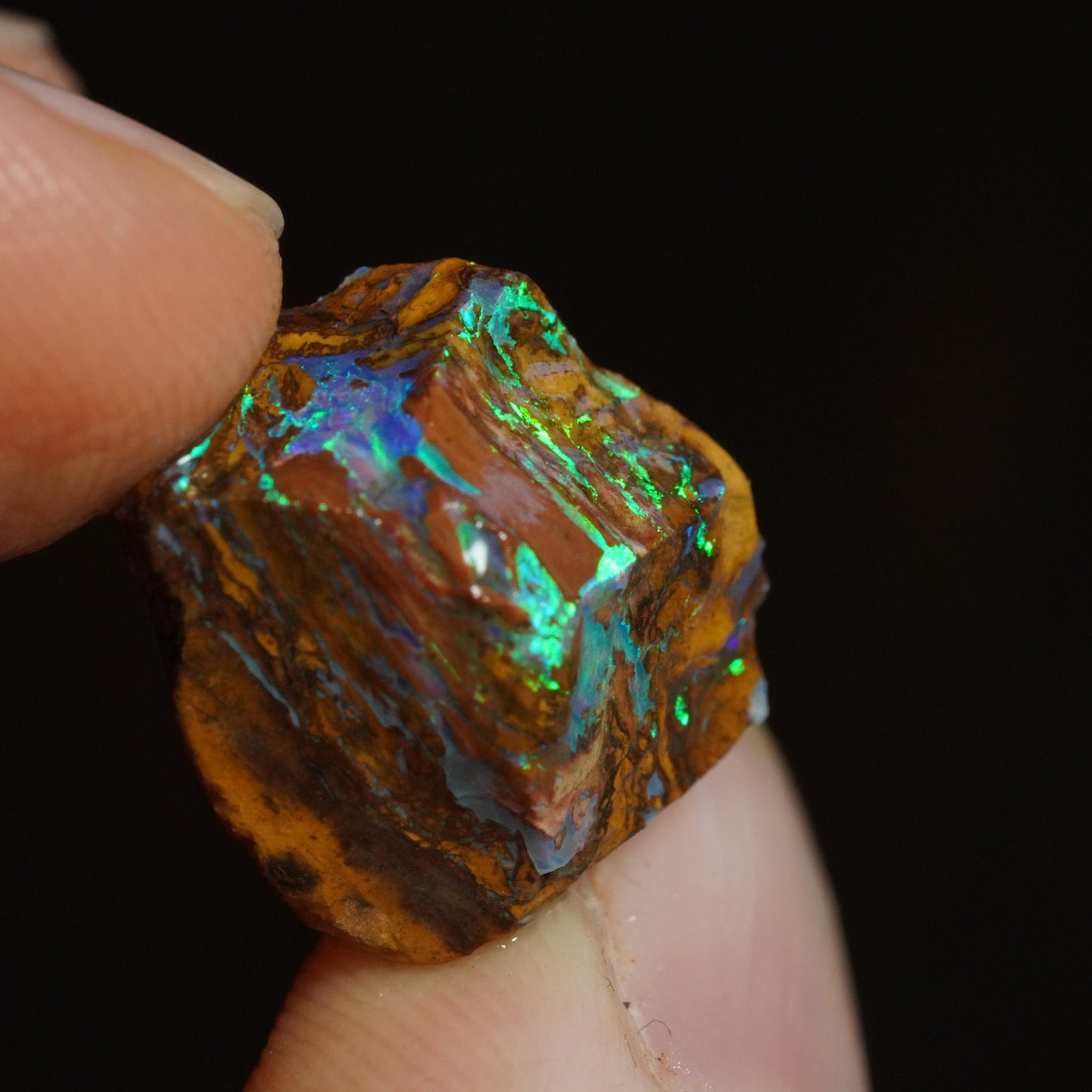 Rough Boulder Opal