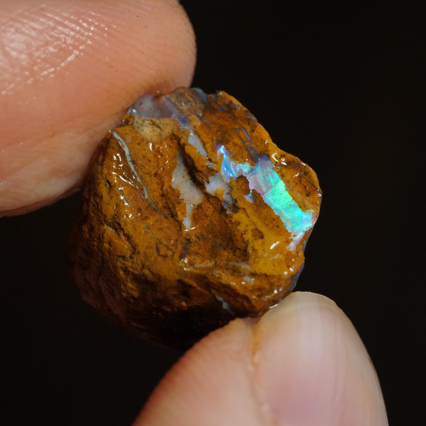 Rough Boulder Opal
