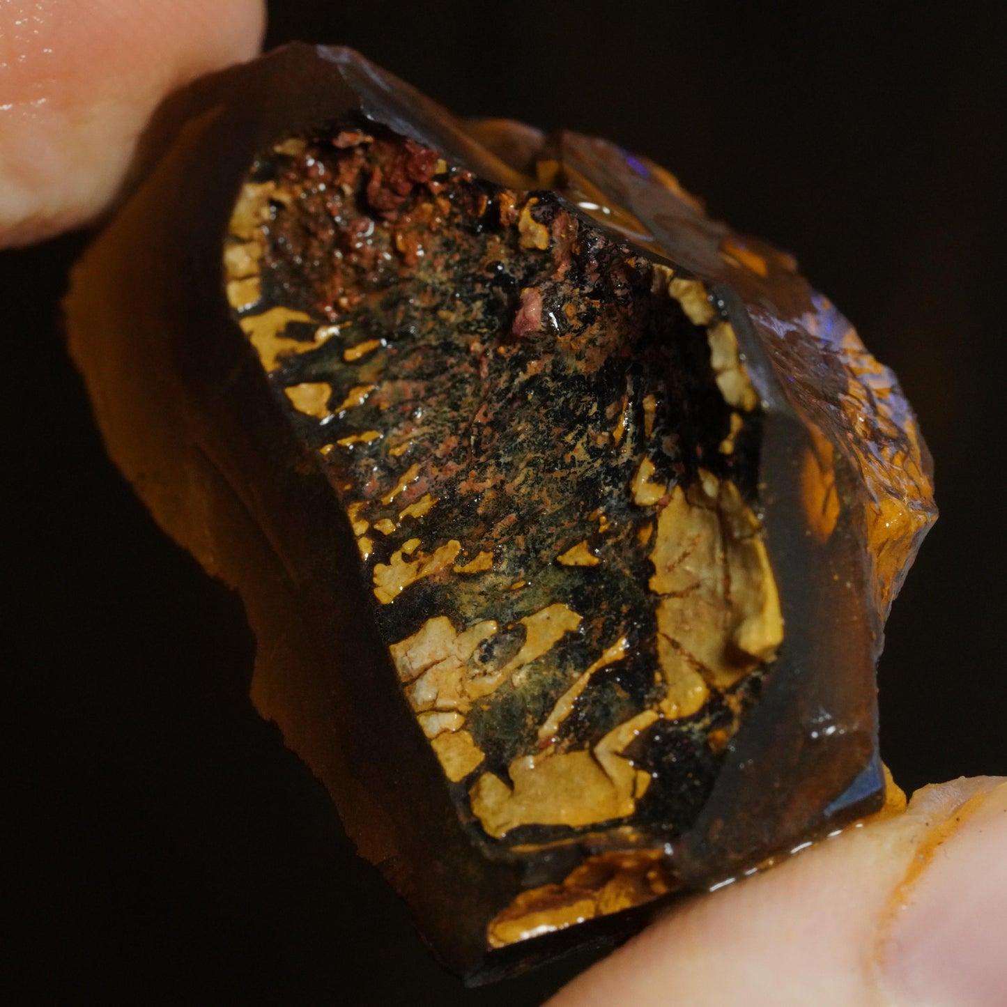 Rough Boulder Opal