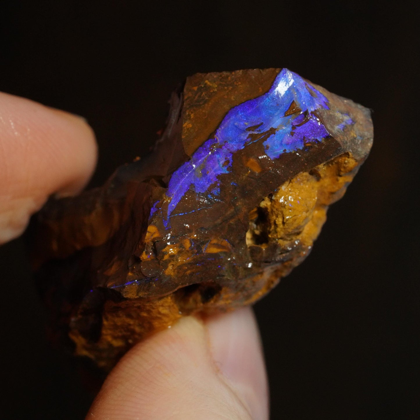Rough Boulder Opal