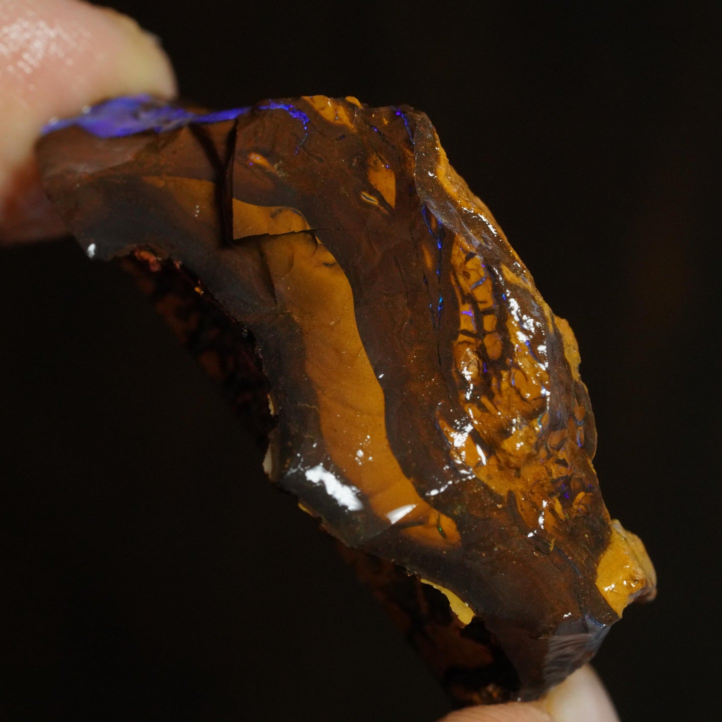Rough Boulder Opal