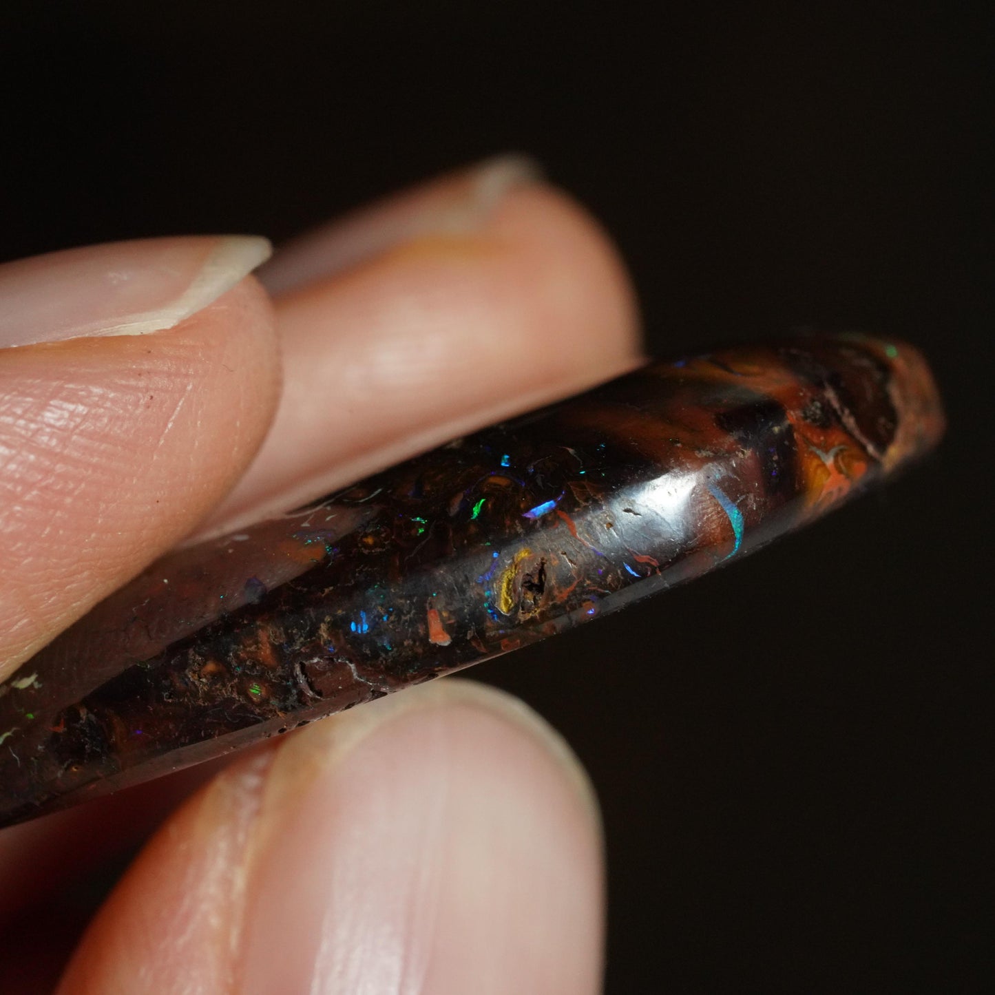 Boulder Opal Cut Stone