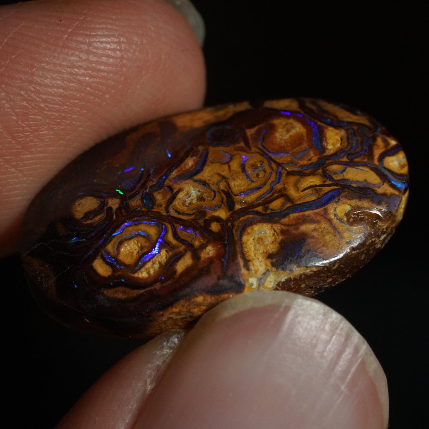 Boulder Opal Cut Stone