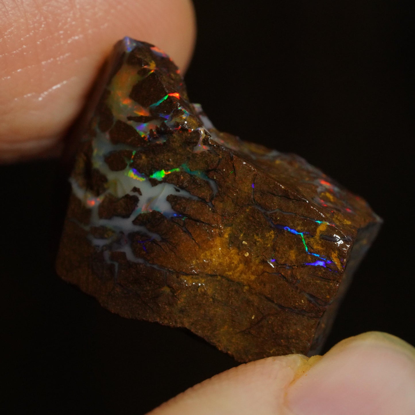 Rough Boulder Opal