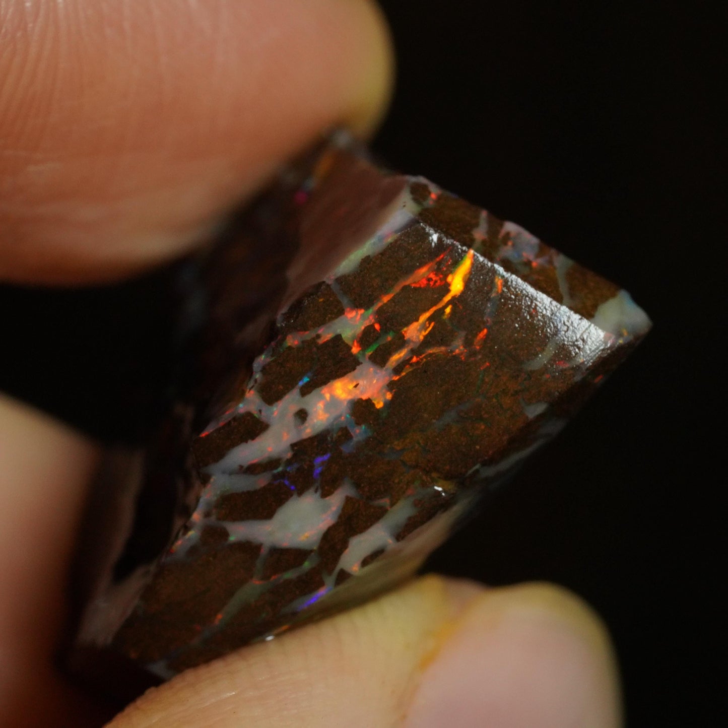 Rough Boulder Opal