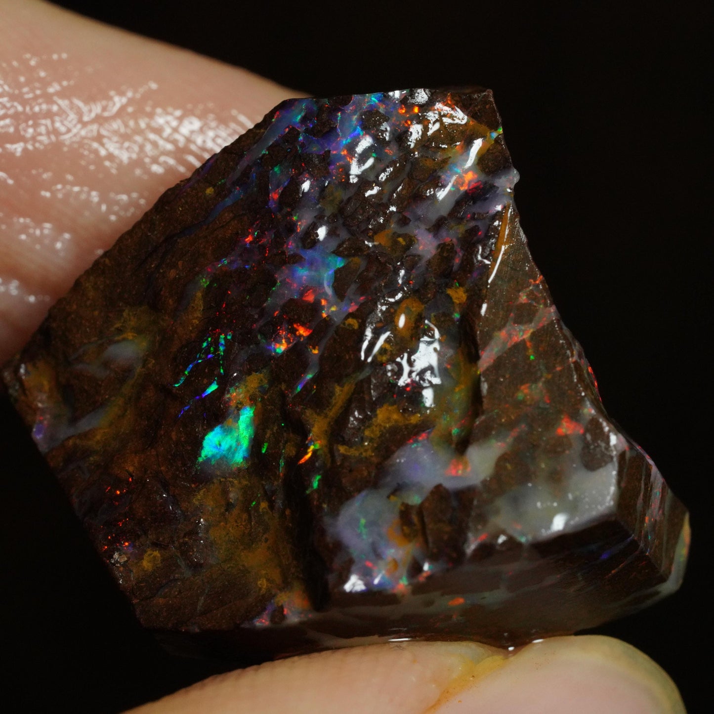 Rough Boulder Opal