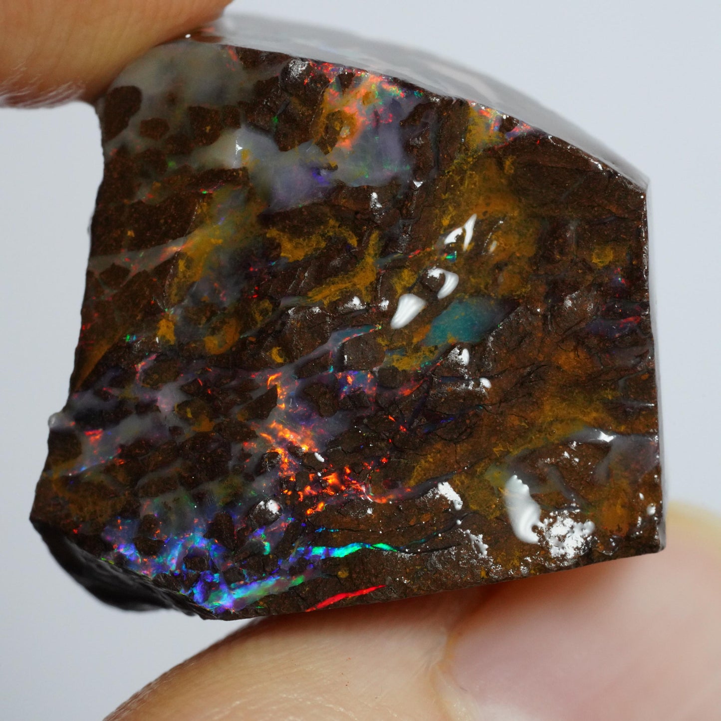 Rough Boulder Opal