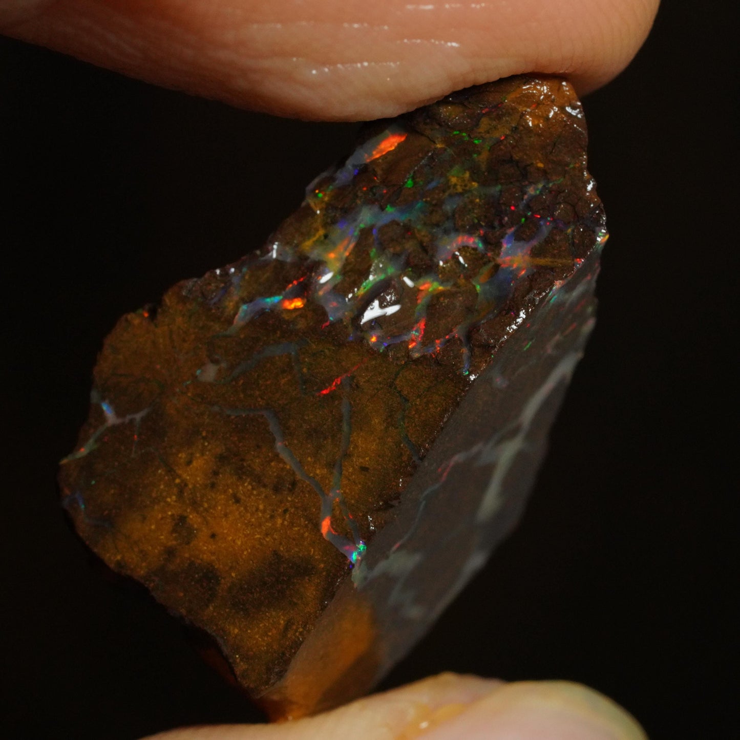 Rough Boulder Opal