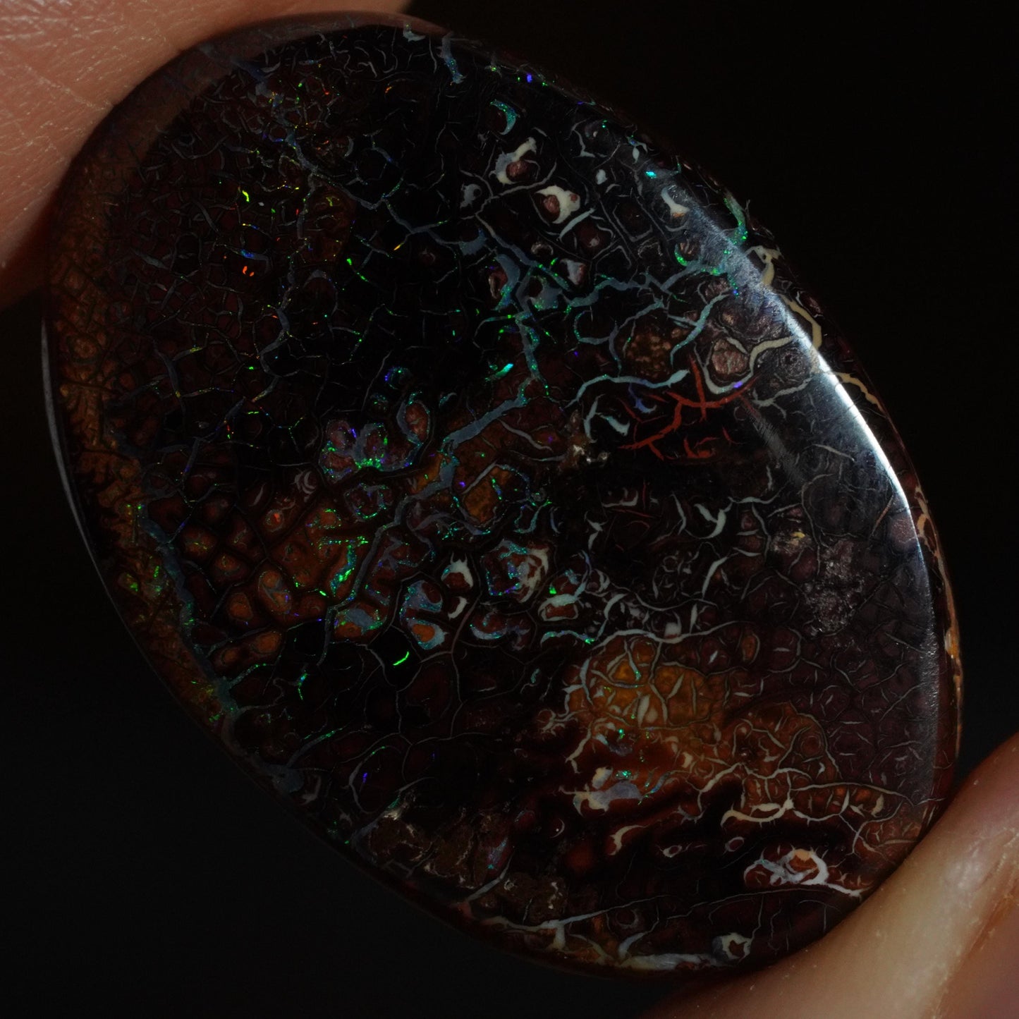 Boulder Opal Cut Stone