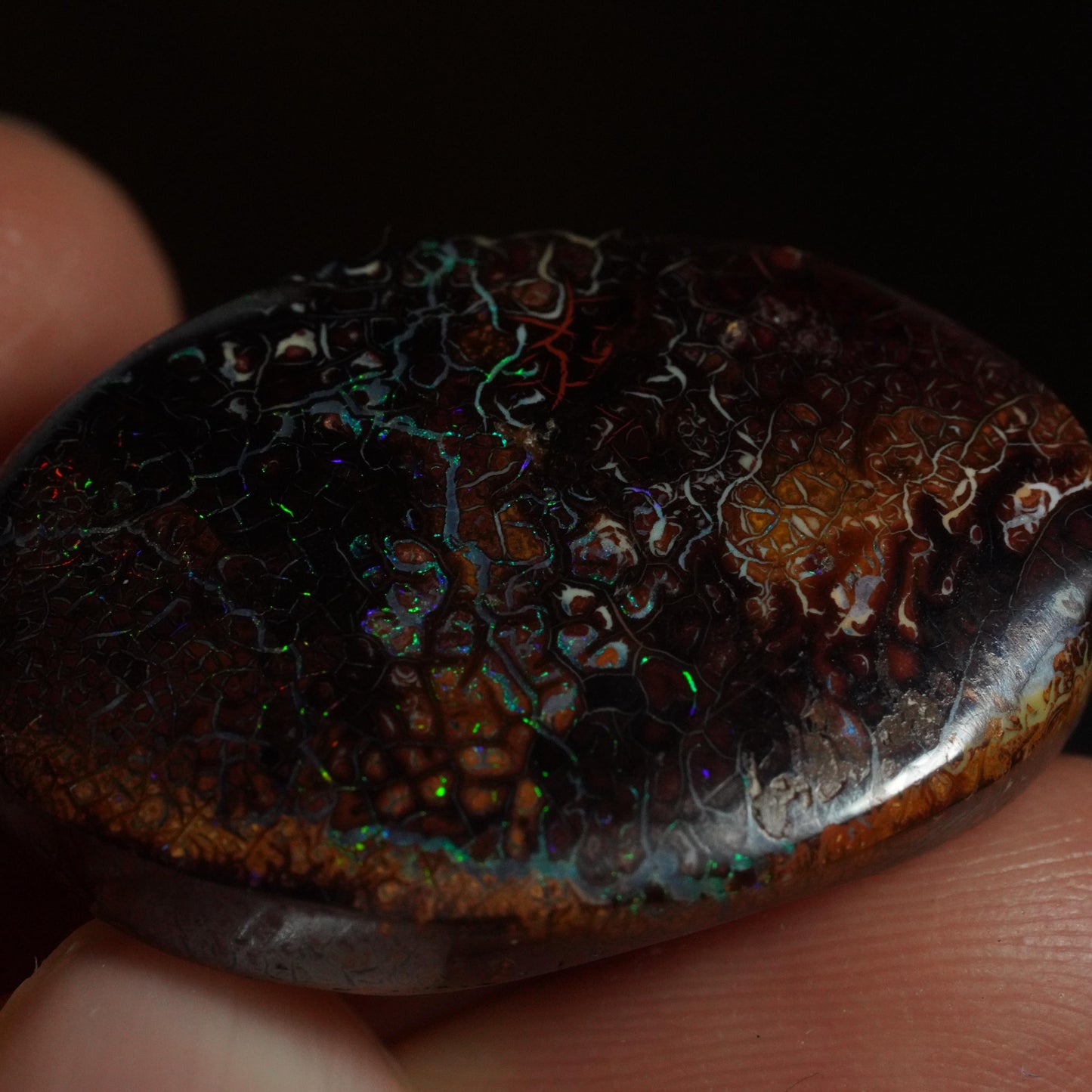 Boulder Opal Cut Stone
