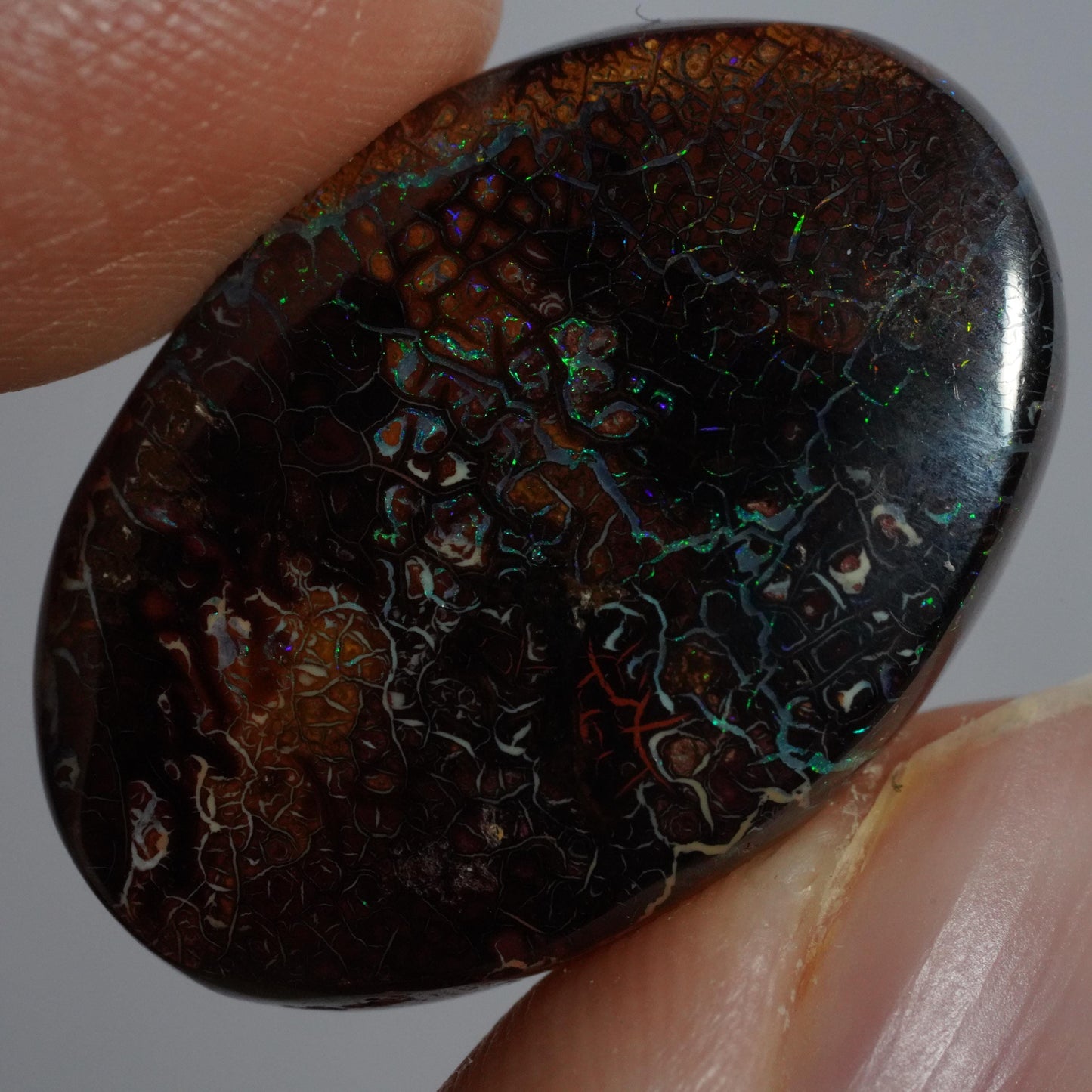 Boulder Opal Cut Stone