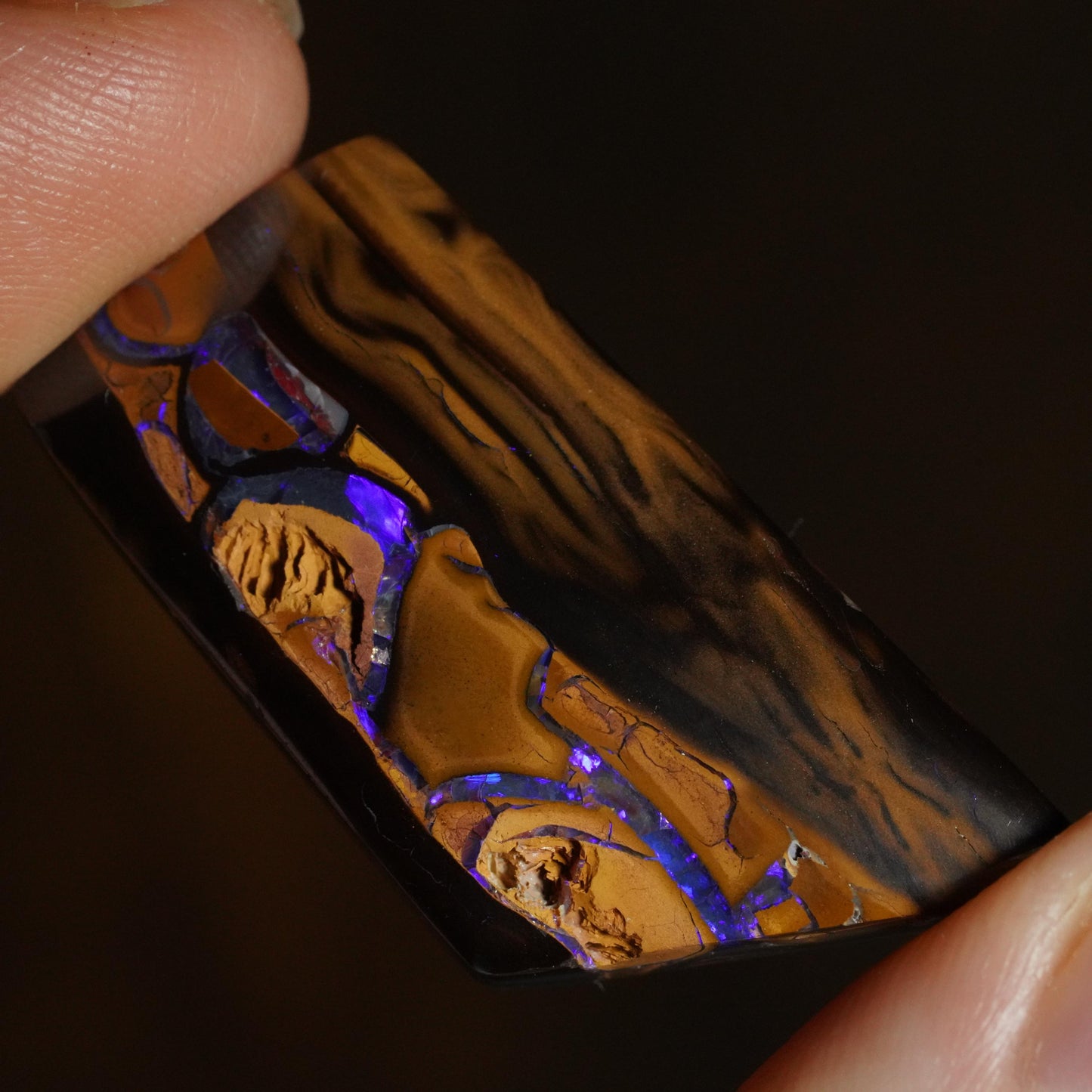 Boulder Opal Cut Stone
