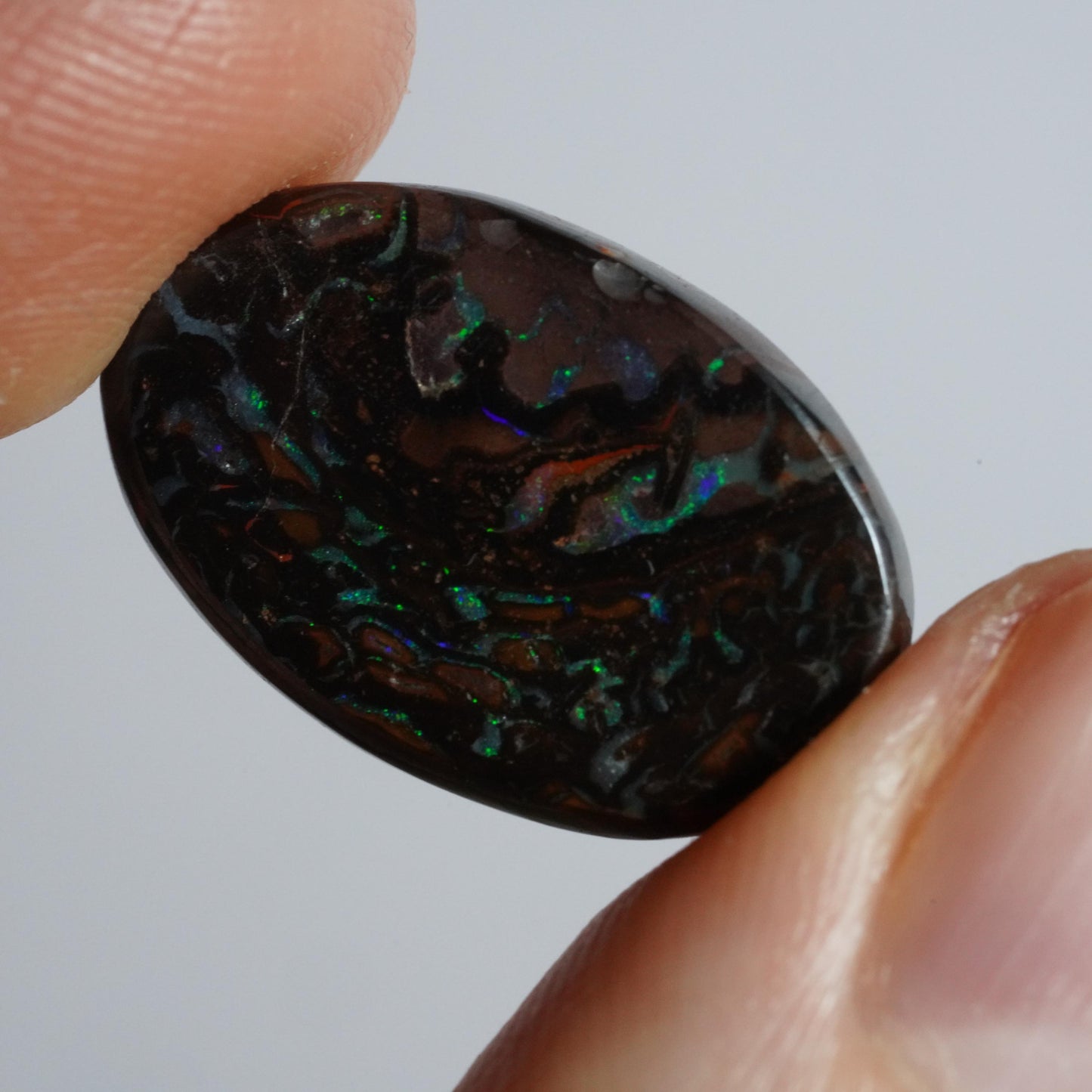 Boulder Opal Cut Stone