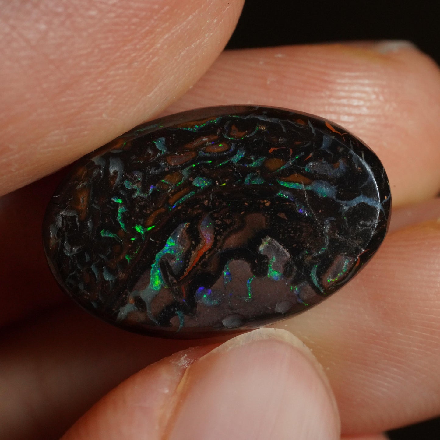 Boulder Opal Cut Stone