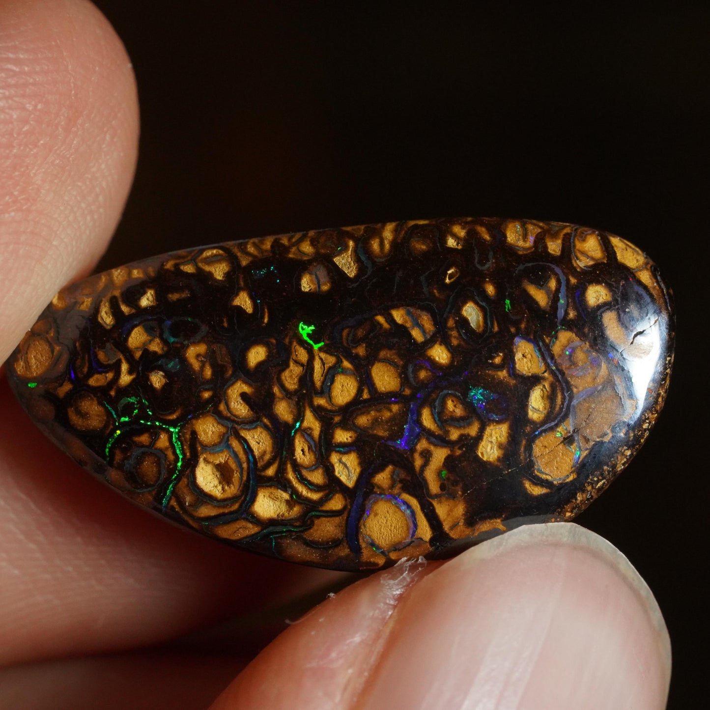 Boulder Opal Cut Stone