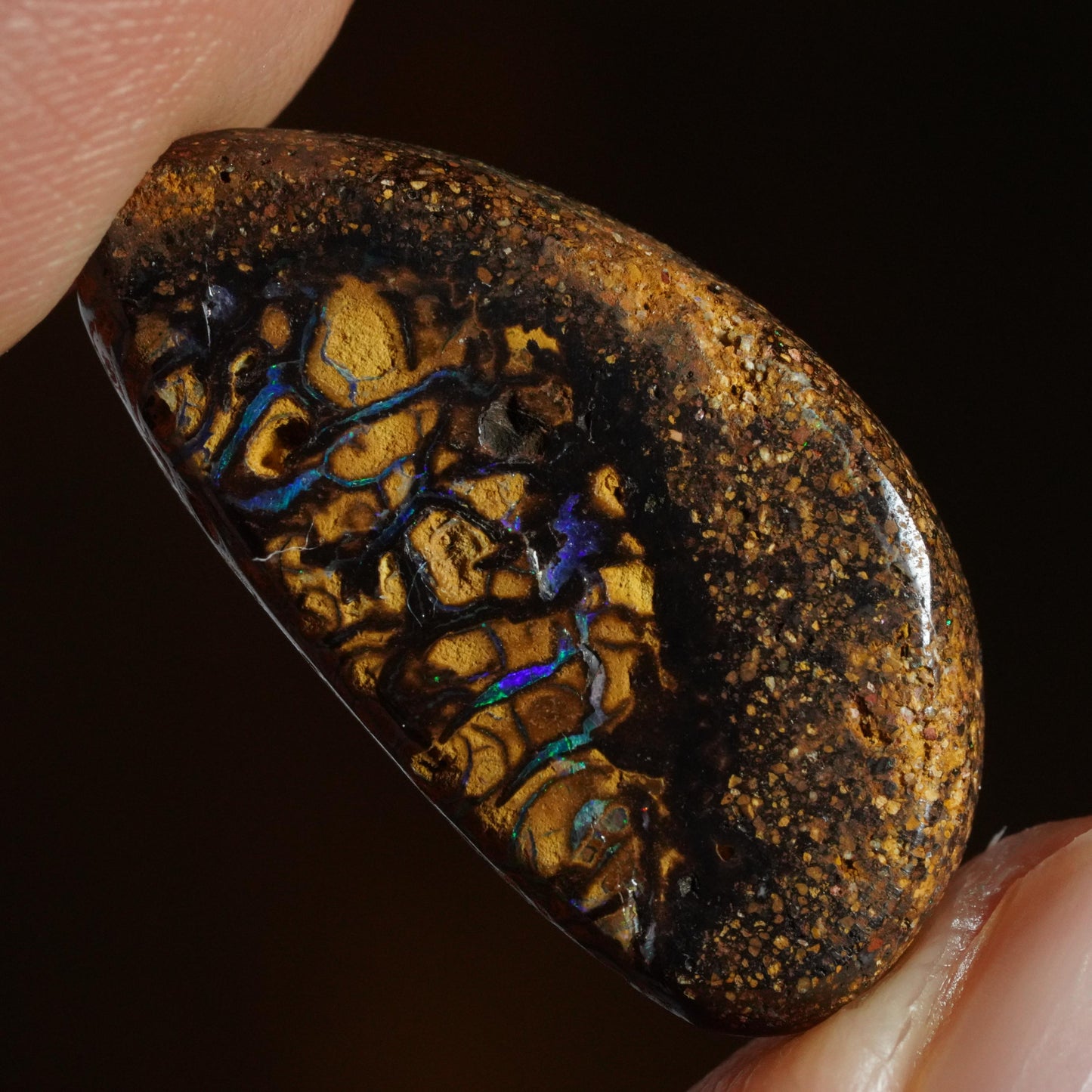 Boulder Opal Cut Stone