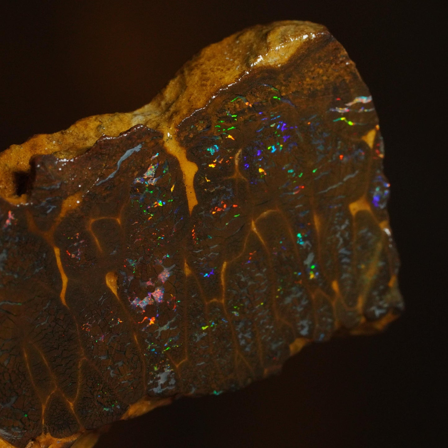 Boulder Opal Rub