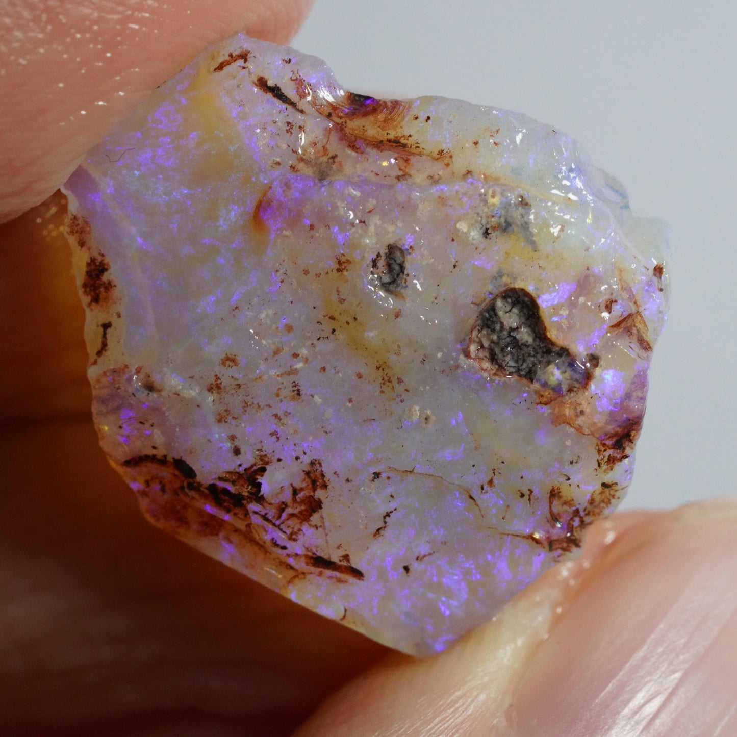 Australian Rough Opal