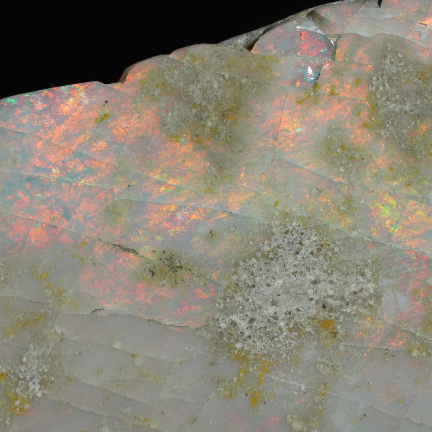 Opal Specimen