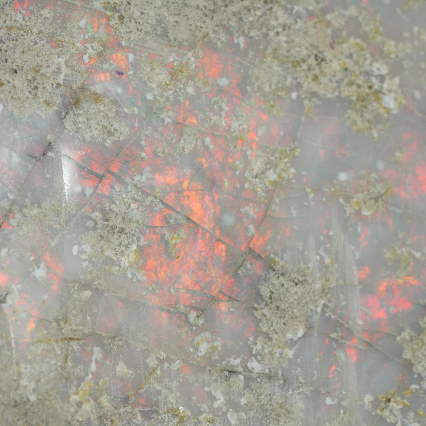 Opal Specimen