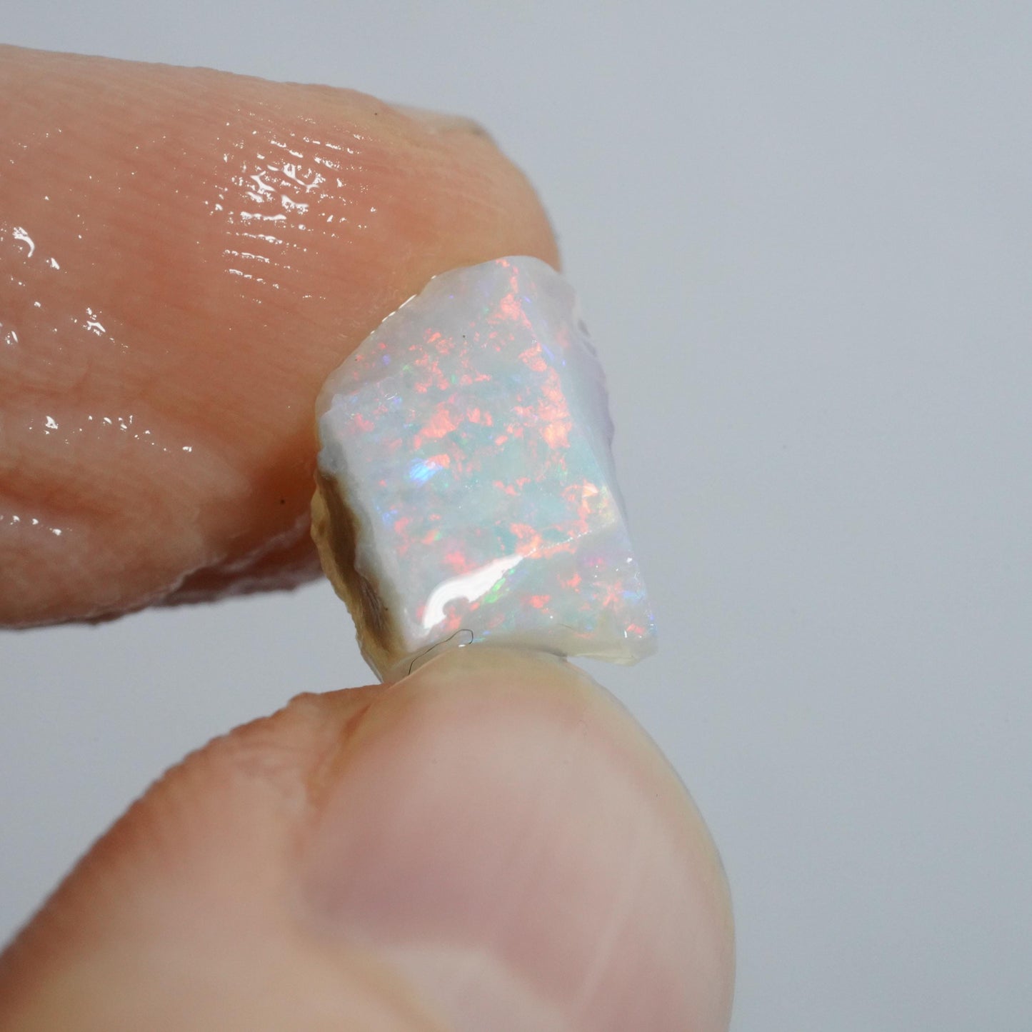 Australian Rough Opal