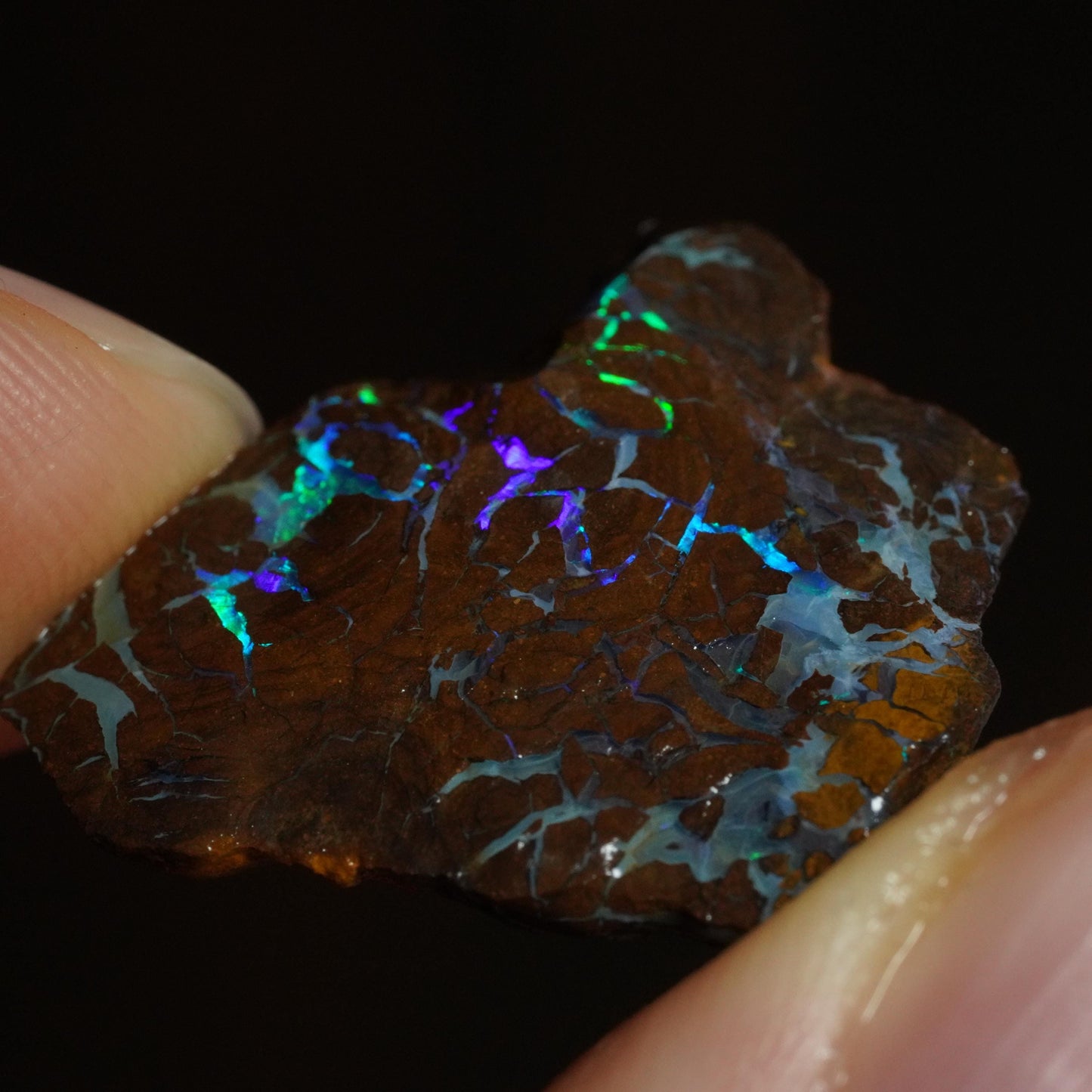 Rough Boulder Opal