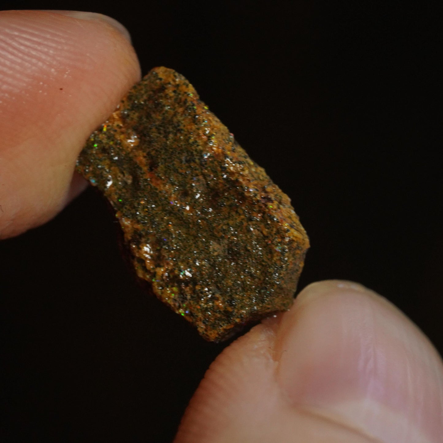 Rough Boulder Opal