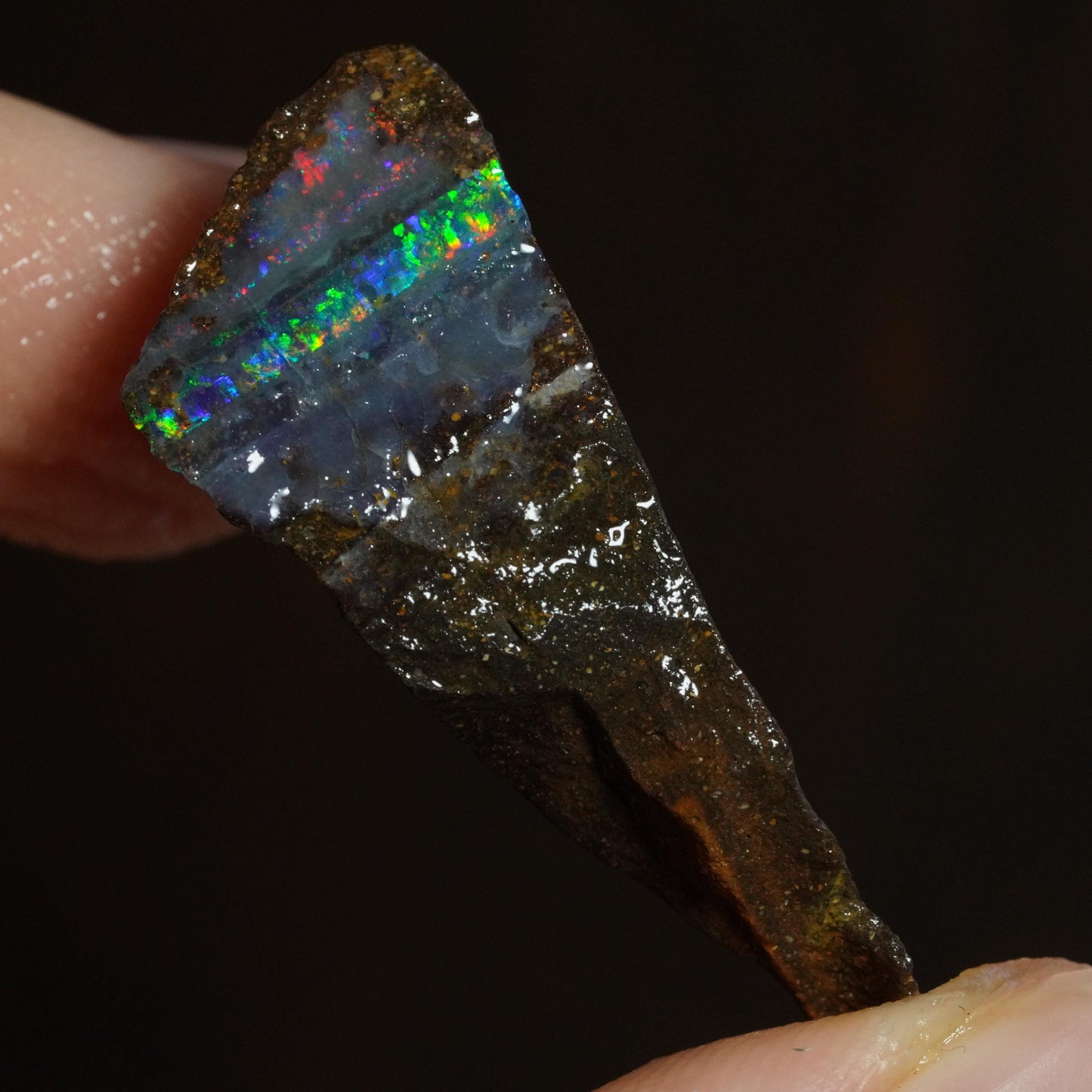 Rough Boulder Opal