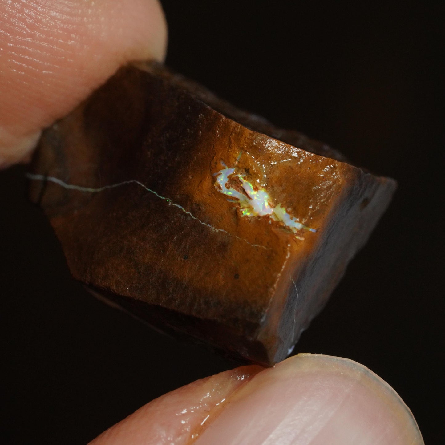 Rough Boulder Opal
