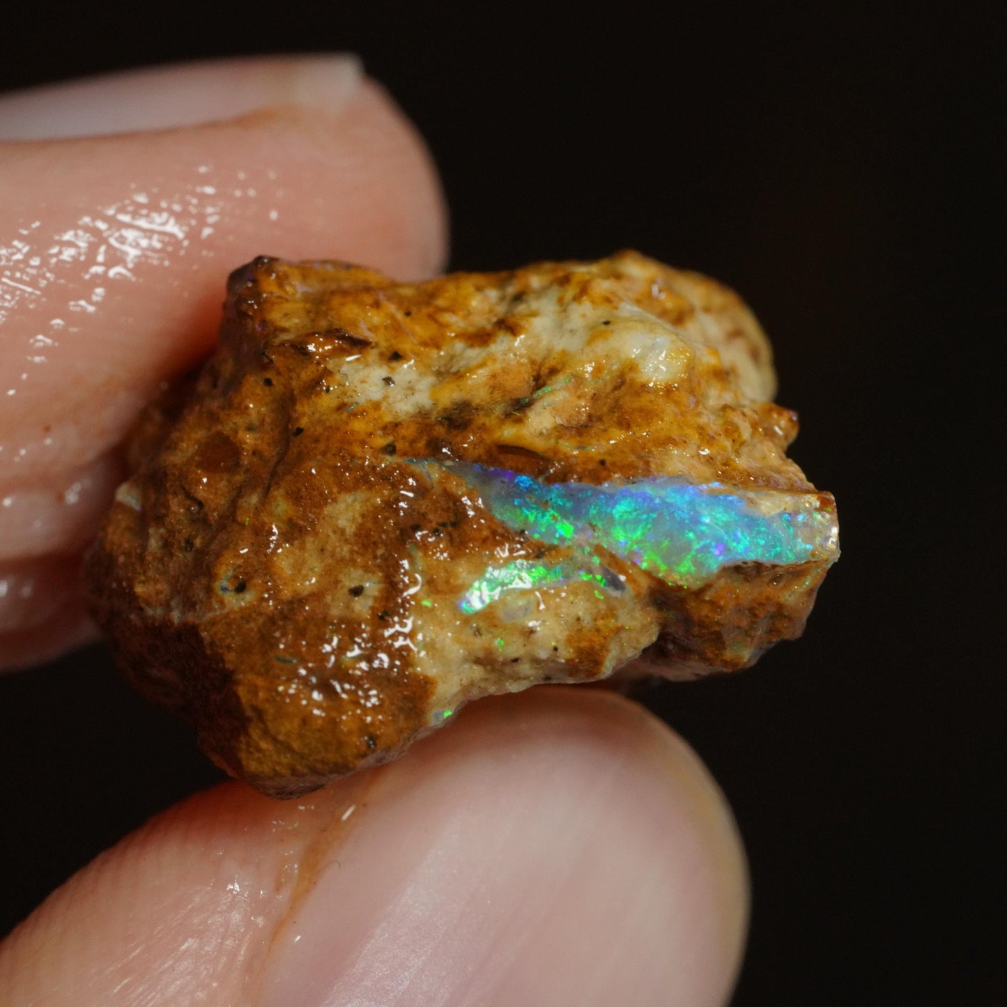 Rough Boulder Opal