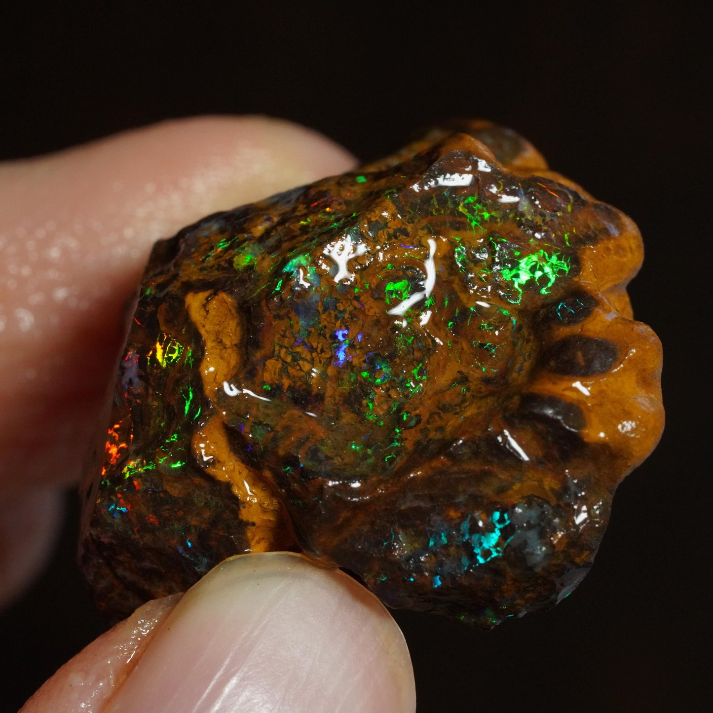 Rough Boulder Opal