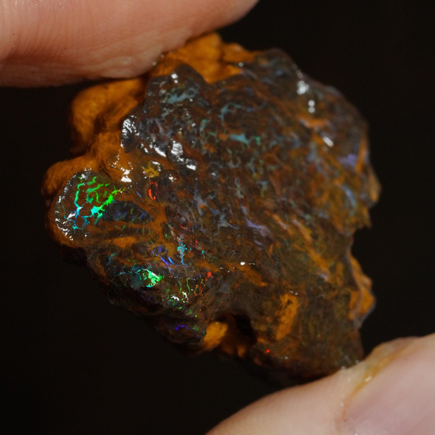 Rough Boulder Opal