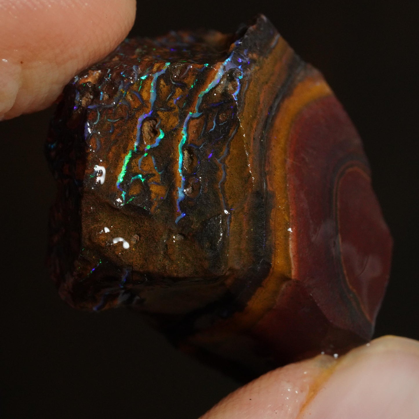 Rough Boulder Opal