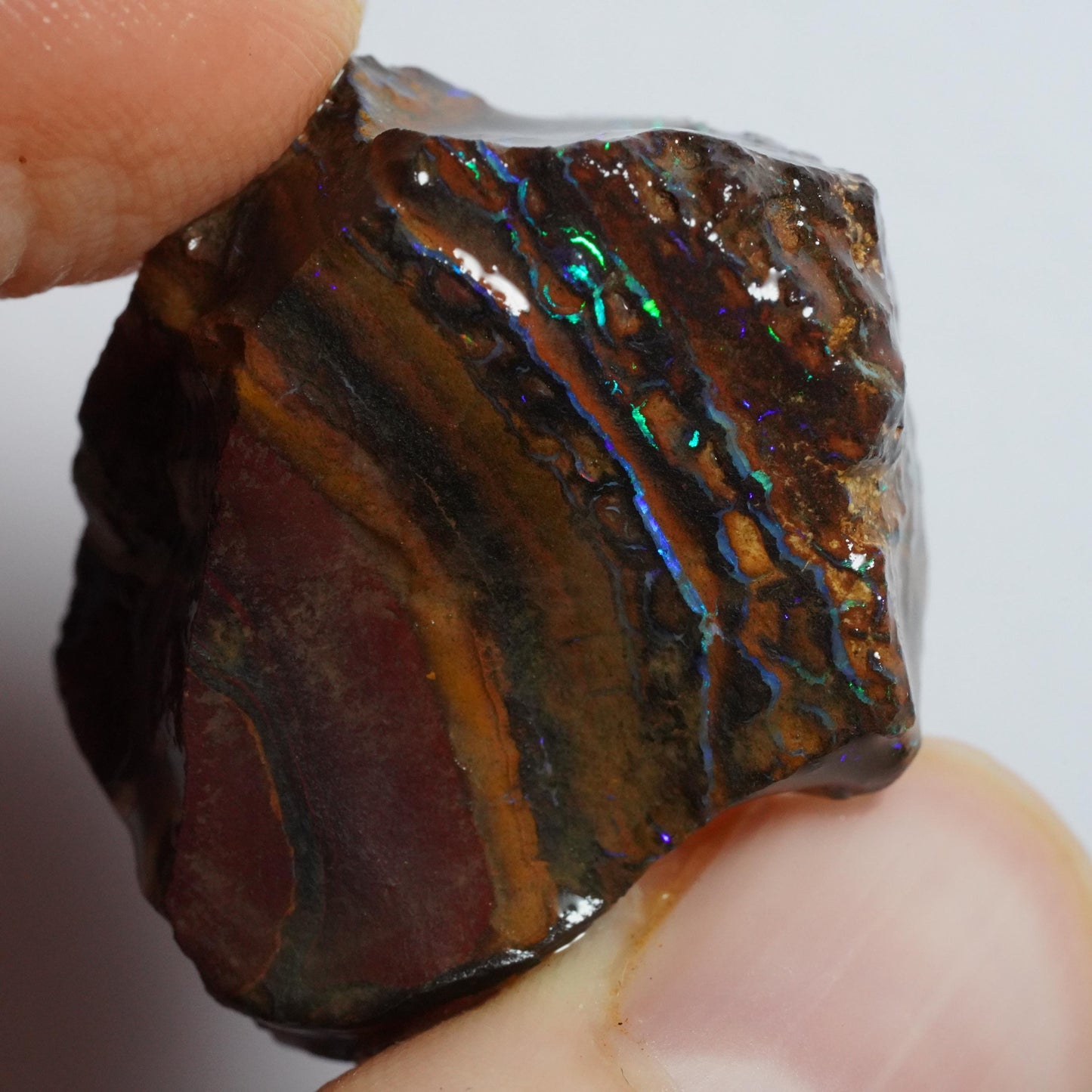 Rough Boulder Opal