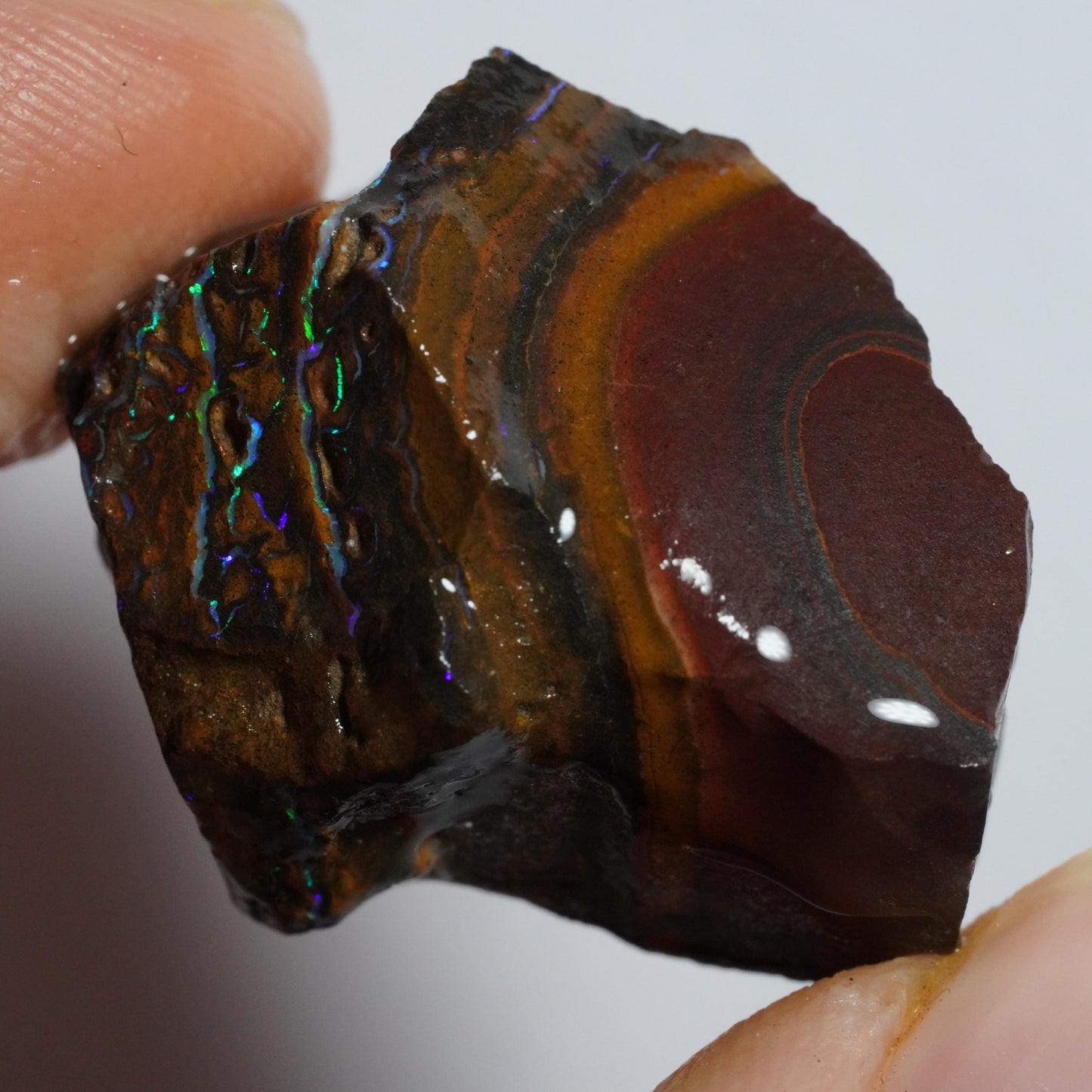 Rough Boulder Opal