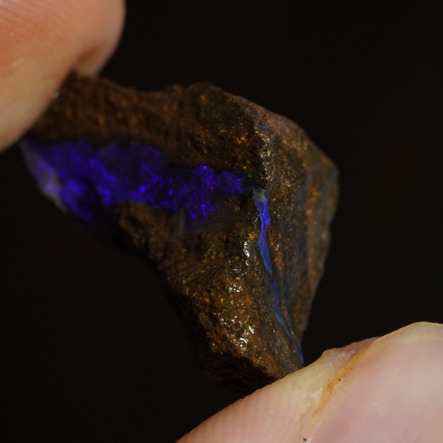Rough Boulder Opal