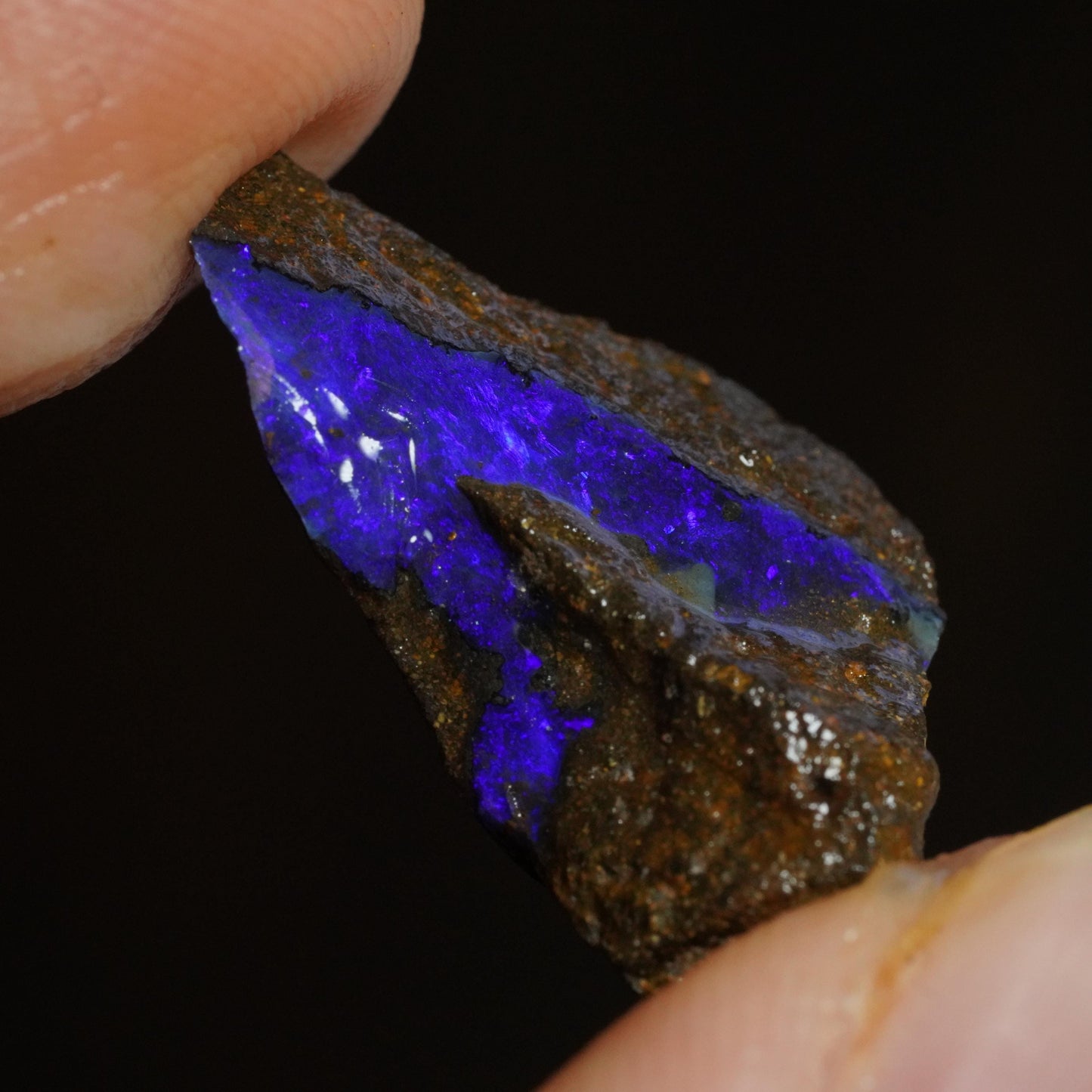 Rough Boulder Opal