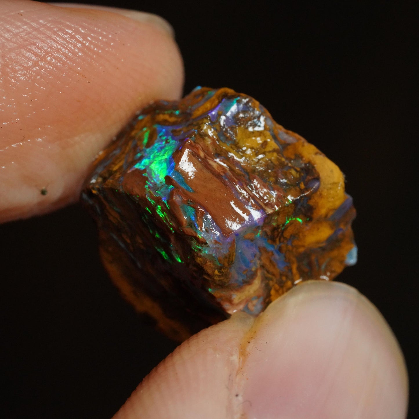 Rough Boulder Opal