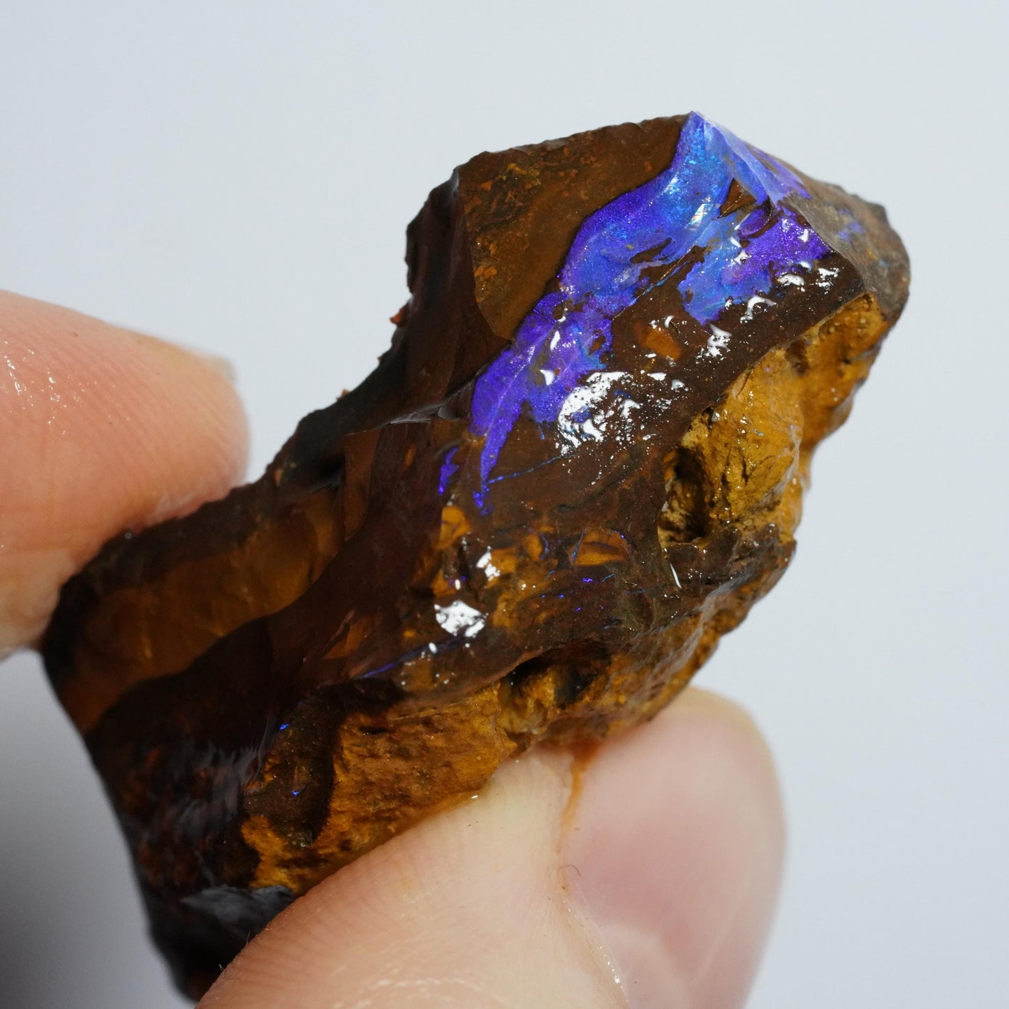 Rough Boulder Opal
