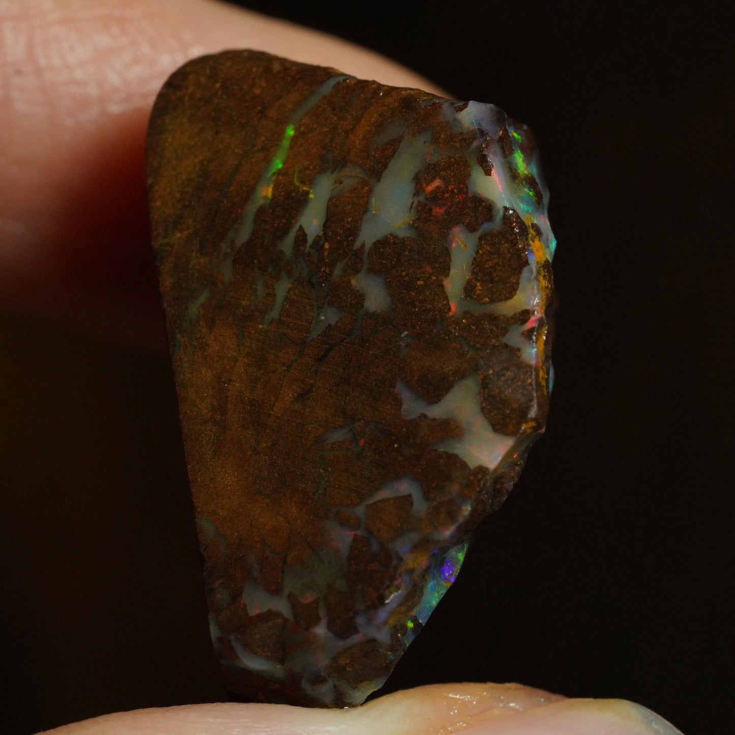 Rough Boulder Opal