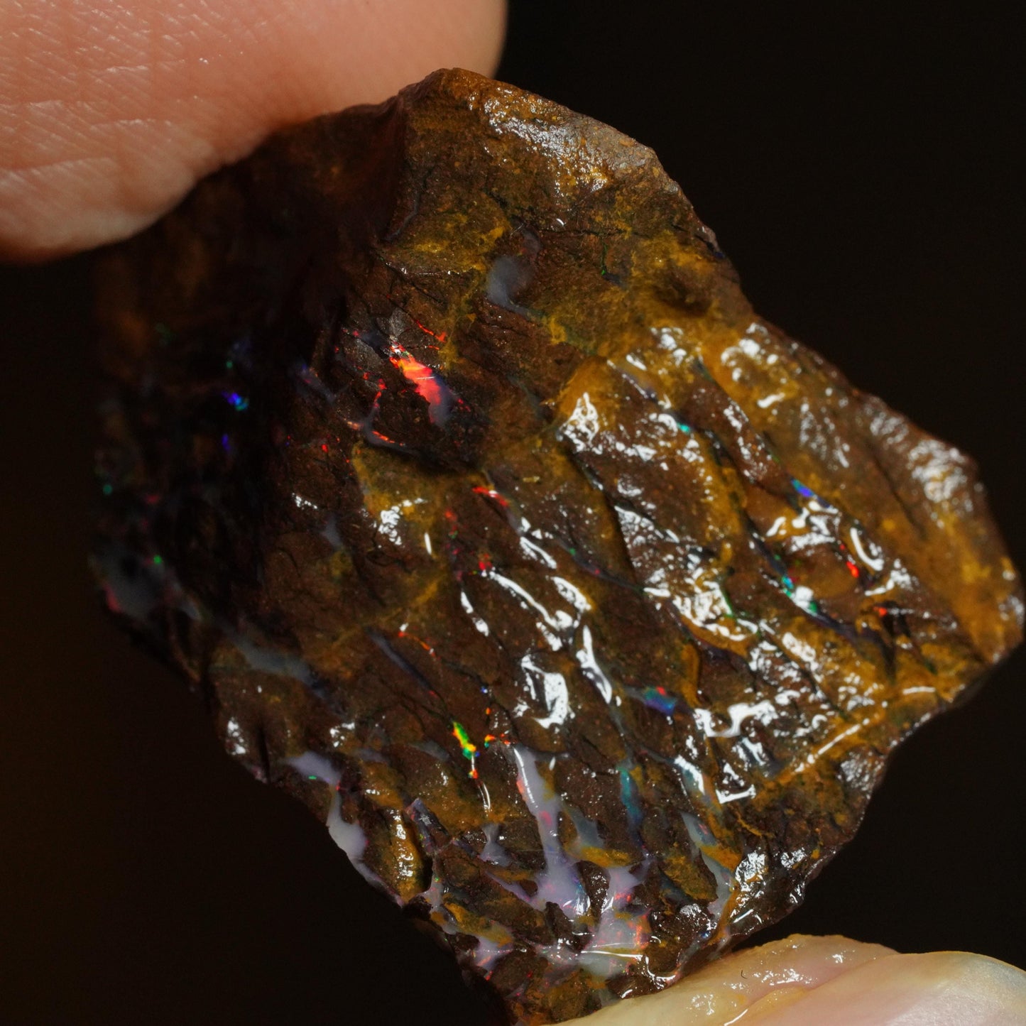 Rough Boulder Opal