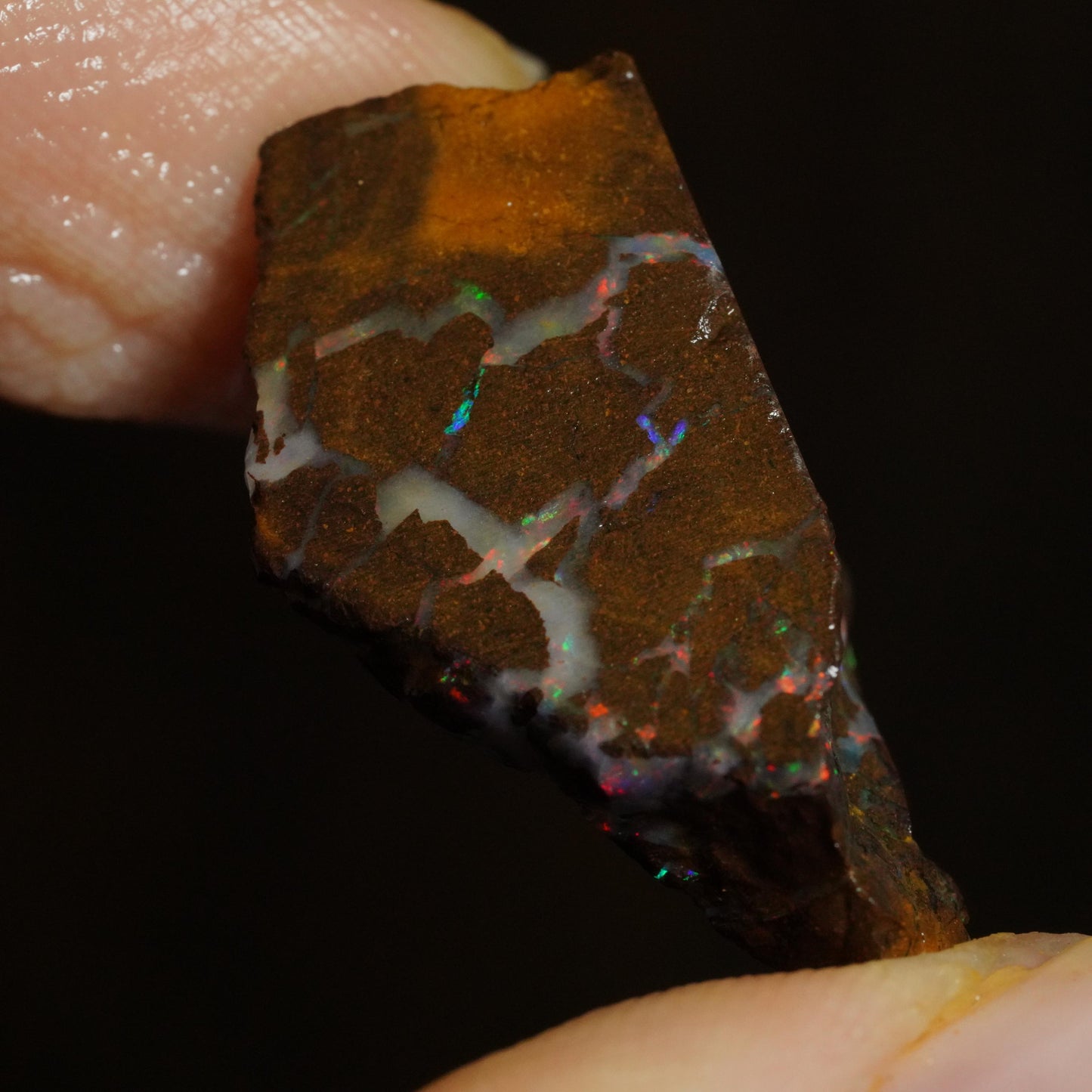 Rough Boulder Opal