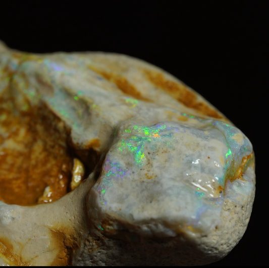 Free Australian Opal Specimen