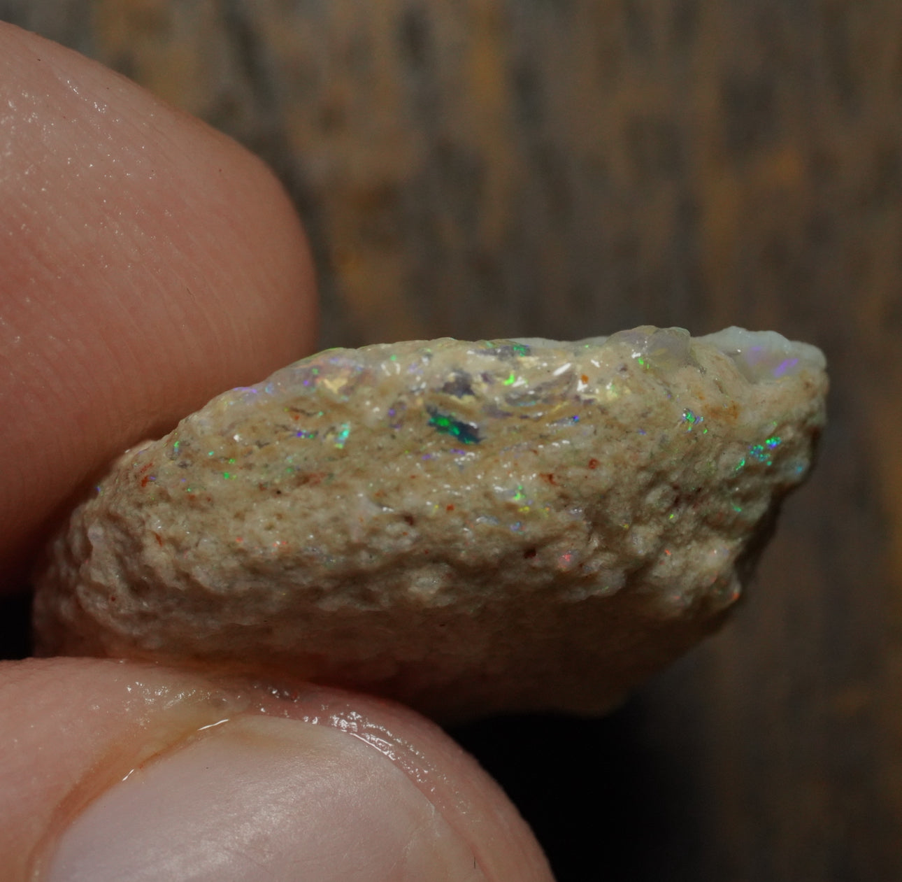 Free Australian Opal Specimen