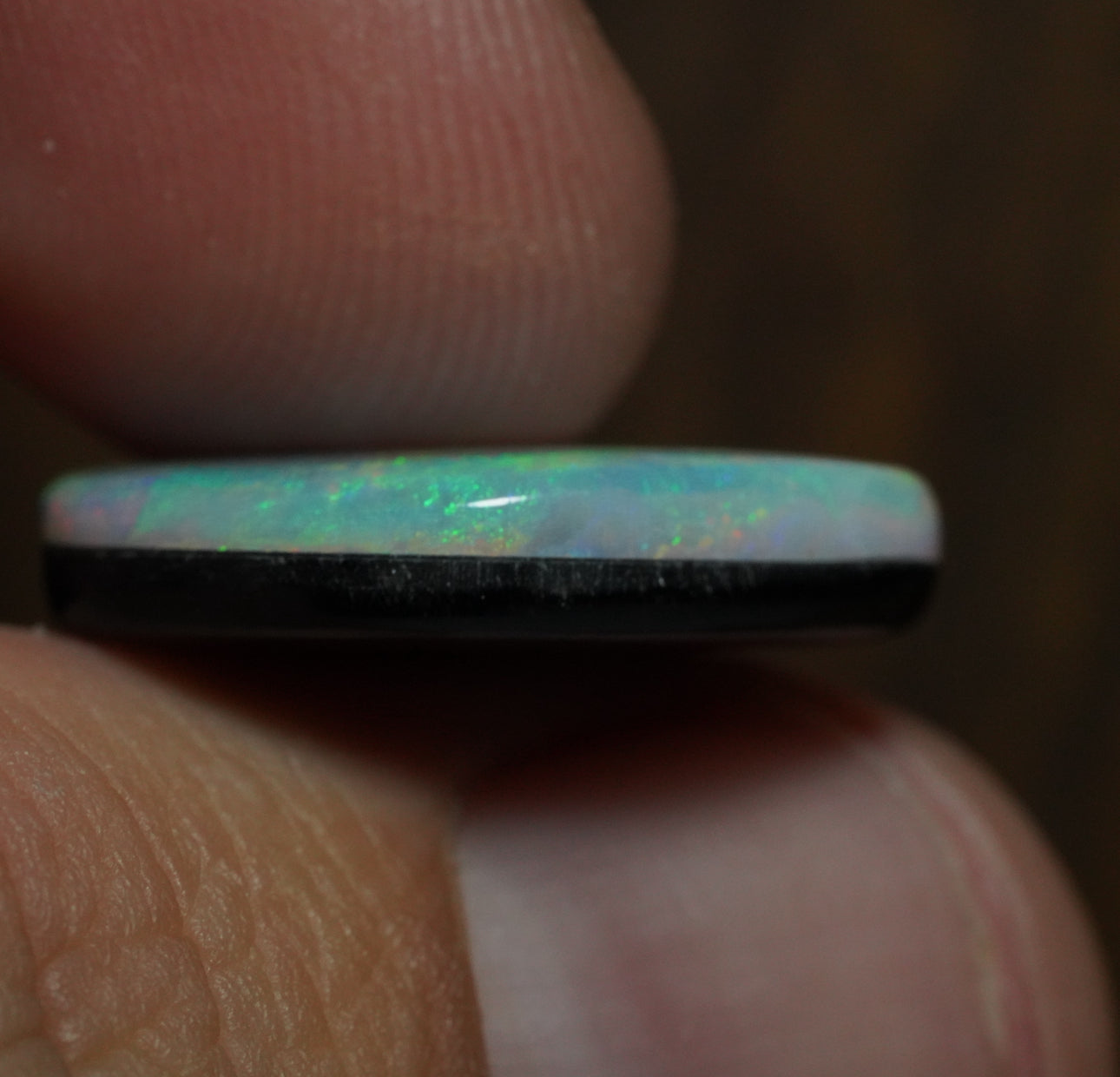 Free Australian Opal Doublet
