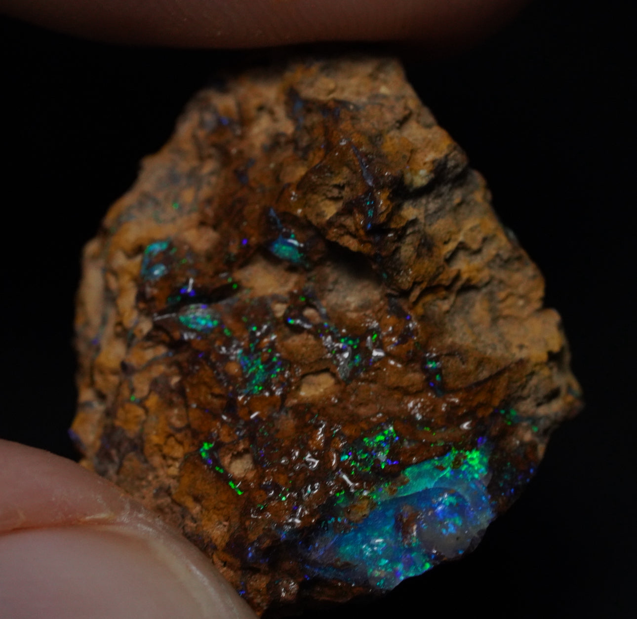 Free Australian Boulder Opal