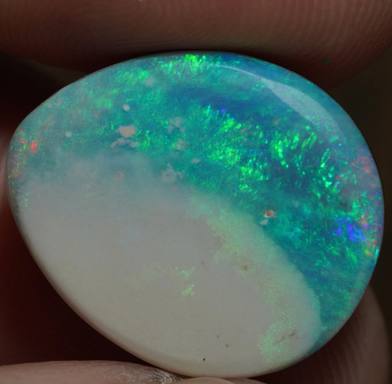 Free Australian Opal Doublet