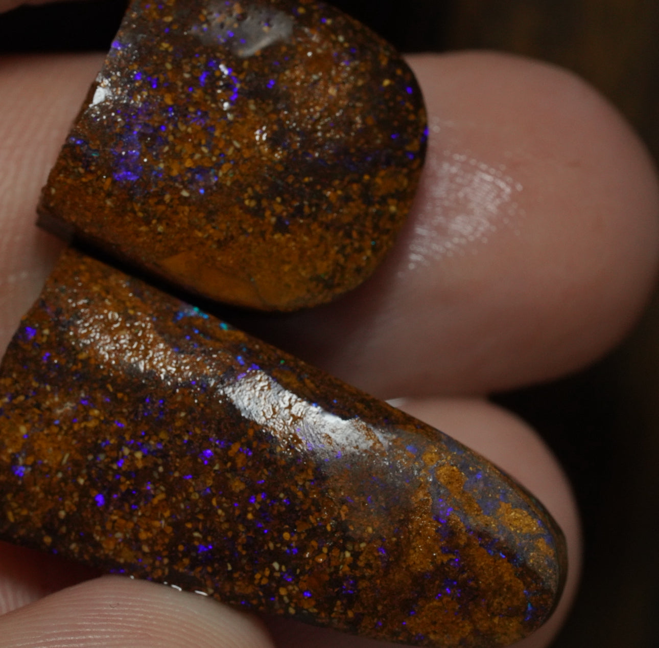 Free Australian Boulder Opal