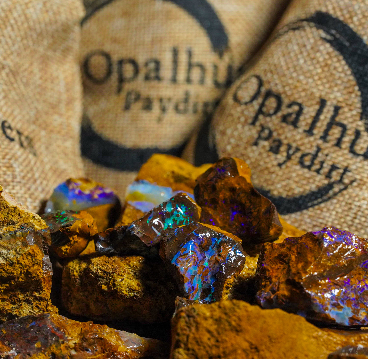 Opal Hunters Boulder Opal Paydirt